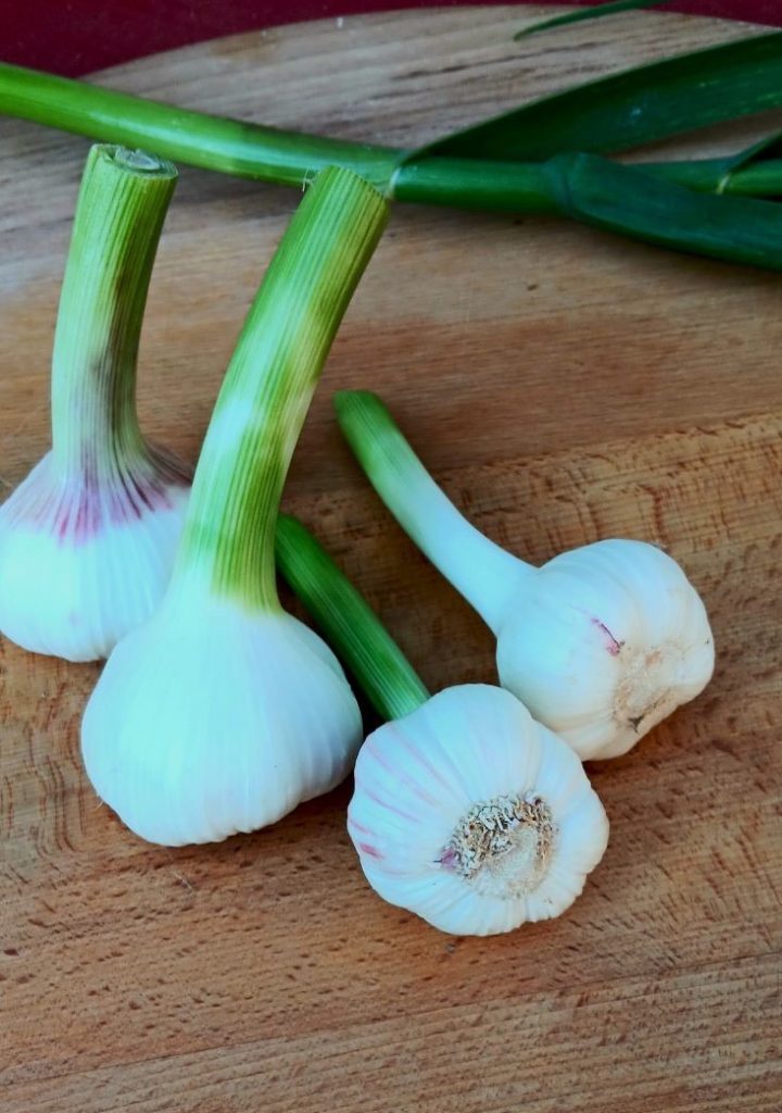 frischer Knoblauch auf Brett Nr. 2