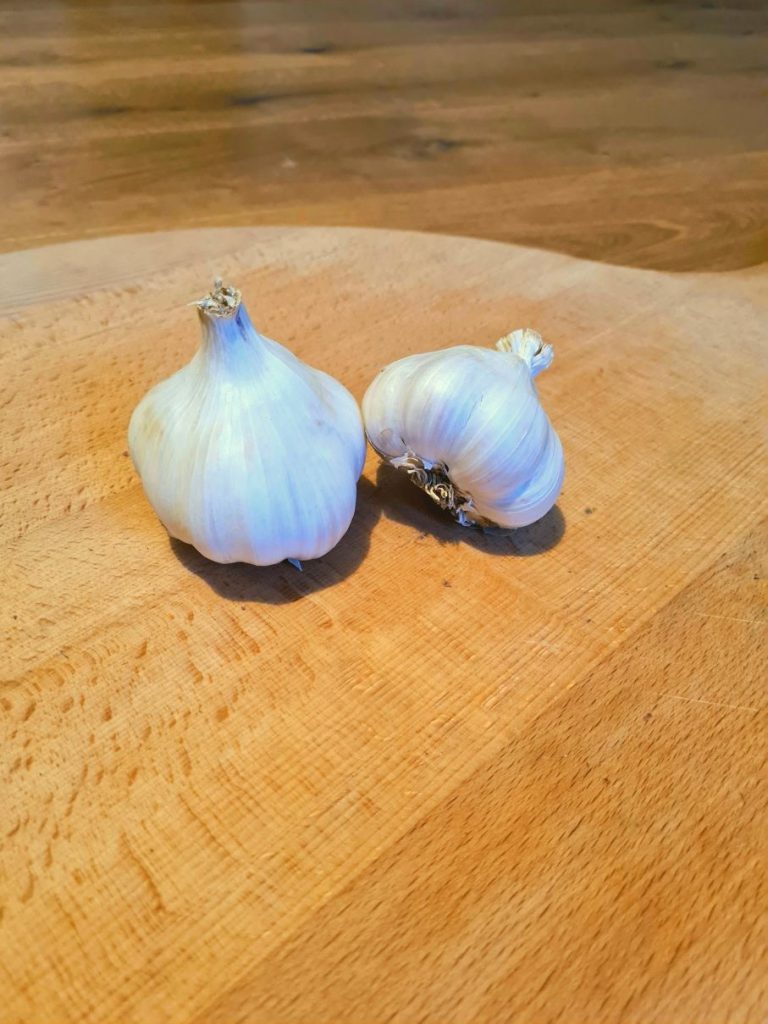 20231114_082124_2_ für Website